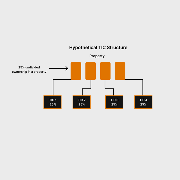 Hypothetical TIC Structure